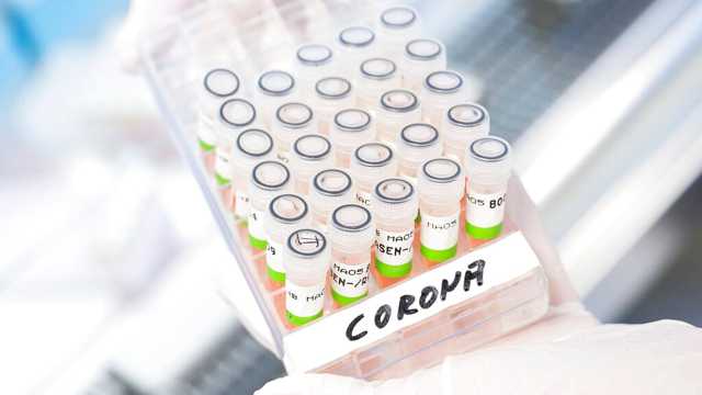 كيف تتجاوز متحورات كوفيد-19 جهاز المناعة؟.. دراسة موسعة تكشف الآلية