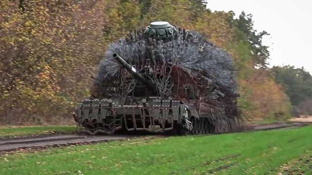 القوات الأوكرانية تنقذ جملاً روسياً من جبهة القتال.. لماذا تلجأ موسكو إلى الحيوانات في حربها؟