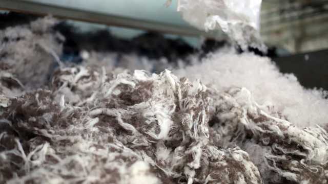 تقنية جديدة تُحول نفايات التخمير إلى أقمشة صديقة للبيئة وتخفف أزمة الجوع