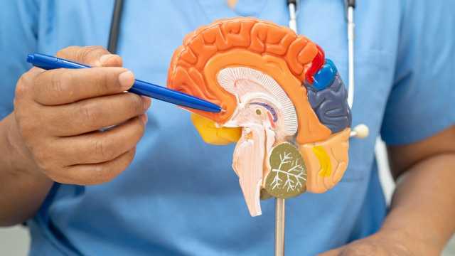 لماذا ينسى مرضى ألزهايمر أحبّاءهم؟ دراسة جديدة تكشف السبب