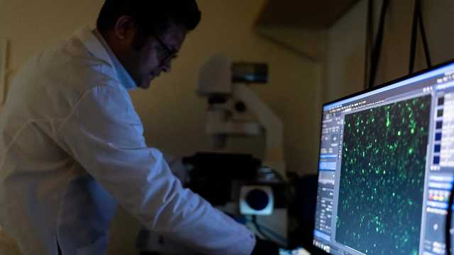 أمراض المناعة الذاتية: ما يجب معرفته ومن الأكثر عرضة ولماذا العلاج صعب