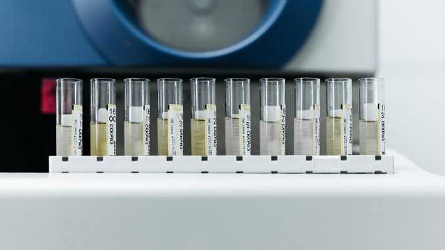 رصد فيروس شلل الأطفال في مياه الصرف الصحي بألمانيا: لماذا يثير قلق السلطات رغم وجود مخاطر منخفضة؟