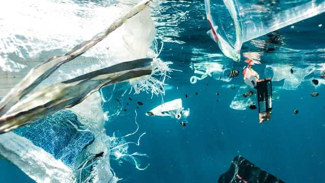 تهديد وجودي: كيف تقضي كميات صغيرة من بلاستيك المحيطات على الحياة البحرية