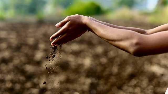 السر في التصدي لأزمة المناخ قد يكون تحت أقدامنا: لماذا؟