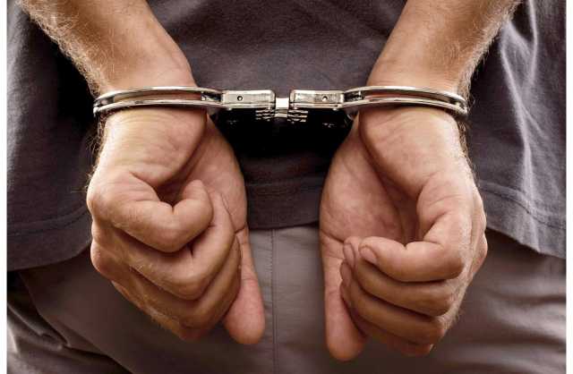 السجن 15 سنة لآسيوي هرب المخدرات في لعب أطفال