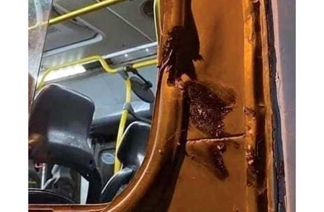 وفاة طالبة تهز البرازيل.. أخرجت رأسها من حافلة واصطدمت بعمود خراساني