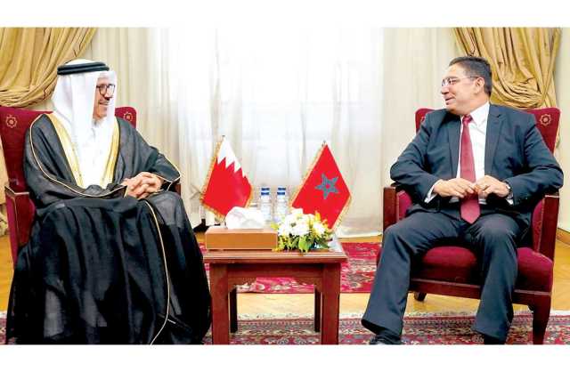 تطوير التعاون السياسي والدبلوماسي بالمحافل الدولية