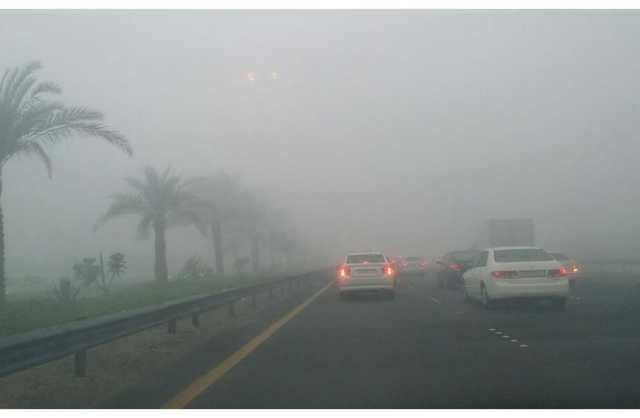 ضباب خفيف فجر الغد.. ورطوبة 95٪..  مع ثاني أيام الخريف