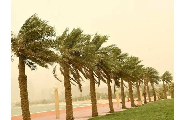 الأرصاد: رياح قوية السرعة وتصاعد الأتربة في بعض المناطق