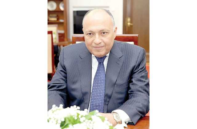 وزير الخارجية يبحث تطورات الأوضاع في غزة مع نظيره المصري