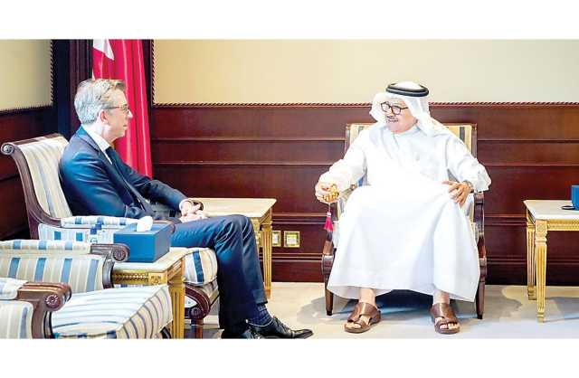 وزير الخارجية والسفير الفرنسي يبحثان تطورات الوضع في غزة