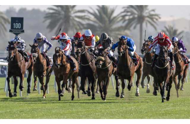 الإسطبلات ترفع استعداداتها والمدربون يتوقعون موسماً قوياً ويطمحون للأنتصارات