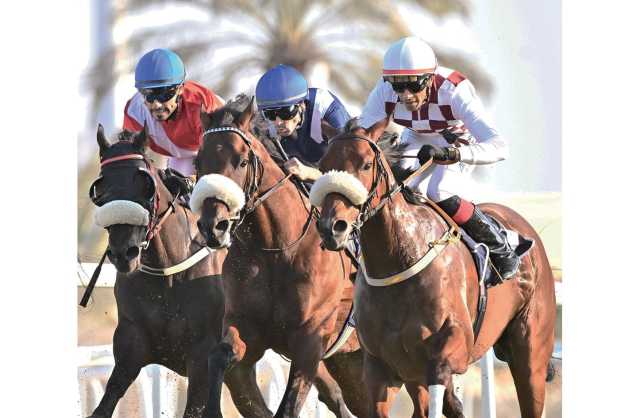 السبت السباق الثالث للخيل.. 72 جوادًا ومنافسات منتظرة على كؤوس الحصان العربي ومشاريع القصر