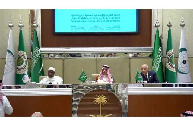 قمة الرياض: دعوة الجنائية الدولية للتحقيق في انتهاكات إسرائيل بغزة