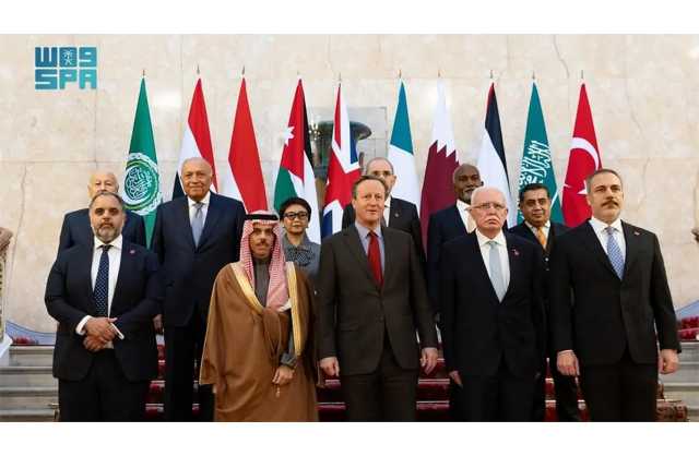 اللجنة العربية الإسلامية تدعو للعمل على وقف كامل للنار بغزة