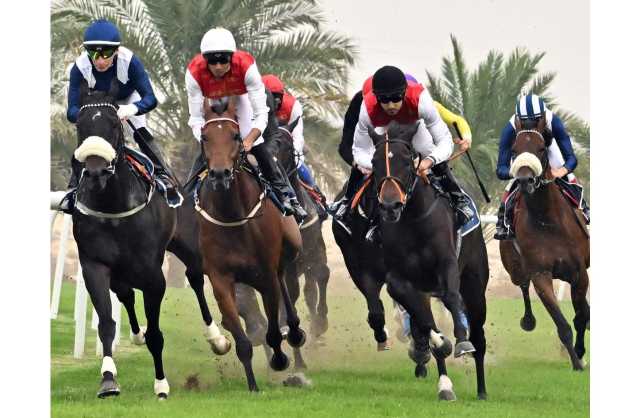 صراع السرعة والإثارة على كؤوس هيئة الرياضة واللجنة الأولمبية