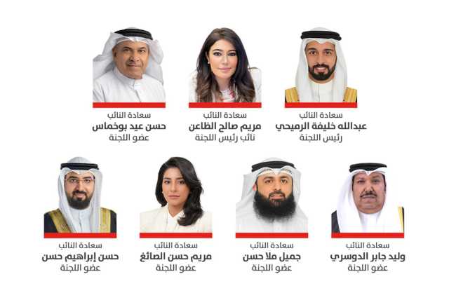 خارجية النواب: رجال الأمن البواسل يستحقون الثناء والتكريم على عطائهم وتضحياتهم