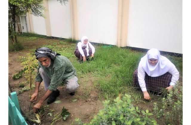 بالصور.. المزارع البحريني السيد حميد يتبرع بزراعة مدرسة بوري مع حفيدتيه دون مقابل