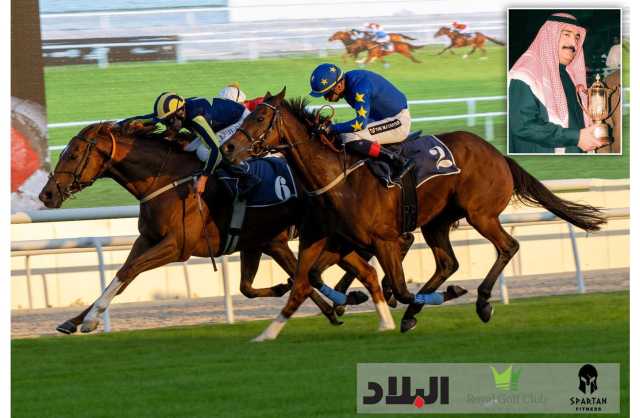 نادي راشد للفروسية وسباق الخيل ينظم السباق السادس عشر لهذا الموسم السبت القادم