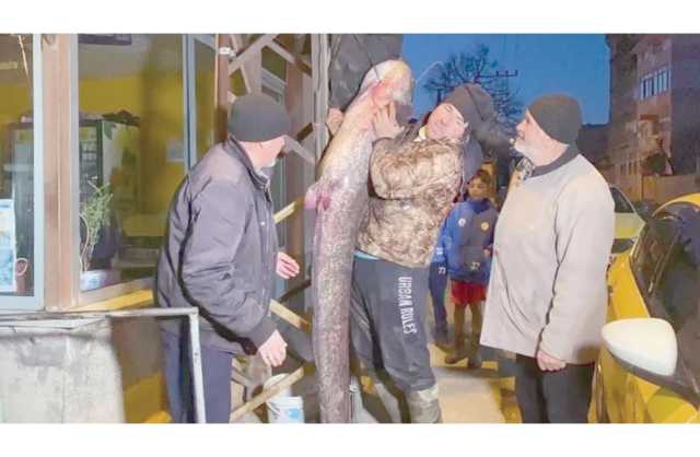سمكة تزن 71 كلغ تدفع صياديها إلى عالم الشهرة