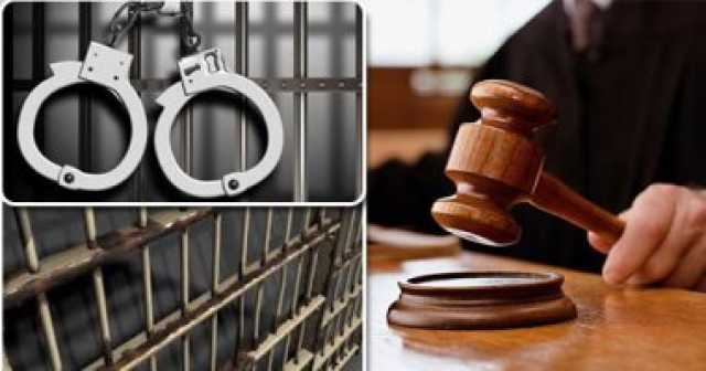ضبط 234 طربة لمخدر الحشيش بحوزة سائق بالجيزة