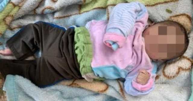 العثور على رضيع حديث الولادة داخل الزراعات بطريق نقادة فى قنا