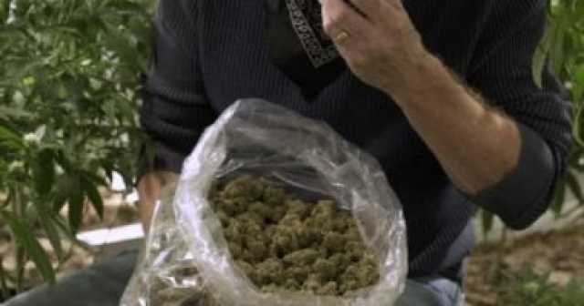 الميجاروانا.. مخدر يهدد الشباب والداخلية تلاحقه بضربات أمنية