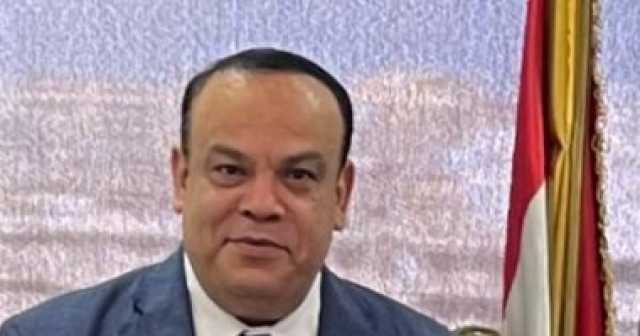 تعرف على إجراءات التظلم على قرارات اللجان الفرعية والعامة بالانتخابات الرئاسية