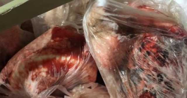 ضبط 10 أطنان و695 كجم لحوم فاسدة ومذبوحة خارج المجازر الحكومية بالجيزة