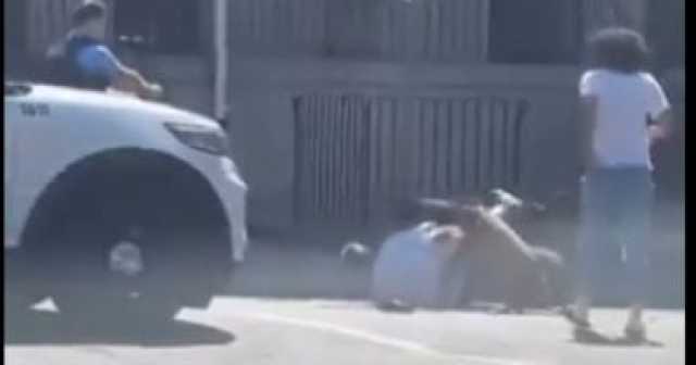 احذر.. تعذيب أو قتل الحيوانات عقوبته تصل للحبس