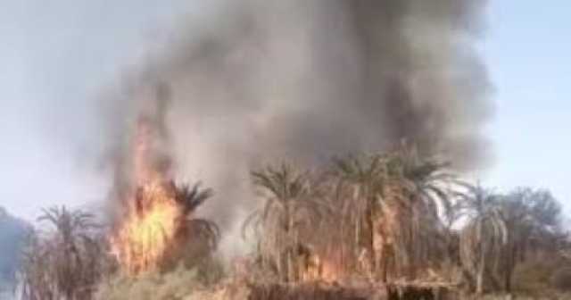 الحماية المدنية بالوادى الجديد تسيطر على حريق فى مزرعة نخيل بقرية القصر