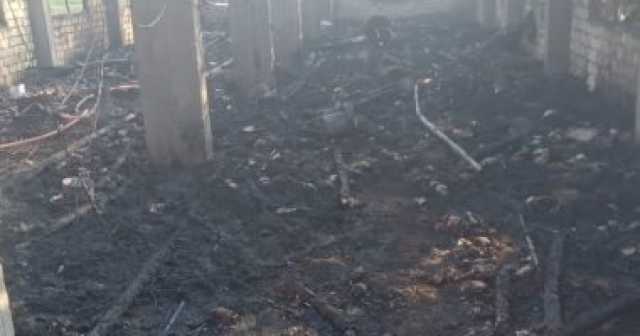 نفوق 5500 دجاجة فى حريق داخل مزرعة بالغربية