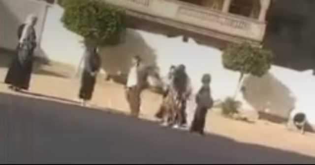النيابة الإدارية تتخذ إجراءات عاجلة فى واقعة تعدى مدير مدرسة على طالبتين بالبحيرة