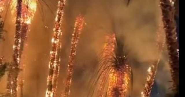 المعمل الجنائى يعاين حريق هيش ونخيل بكورنيش النيل فى مصر القديمة