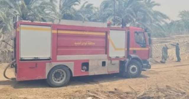 الدفاع المدنى بالوادى الجديد يسيطر على حريق مزرعة نخيل بقرية القصر.. صور