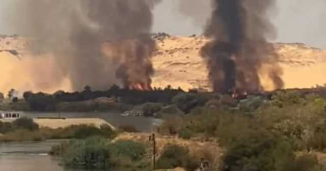 اندلاع حريق بإحدى الجزر النيلية بمدينة أسوان والحماية المدنية تحاول السيطرة