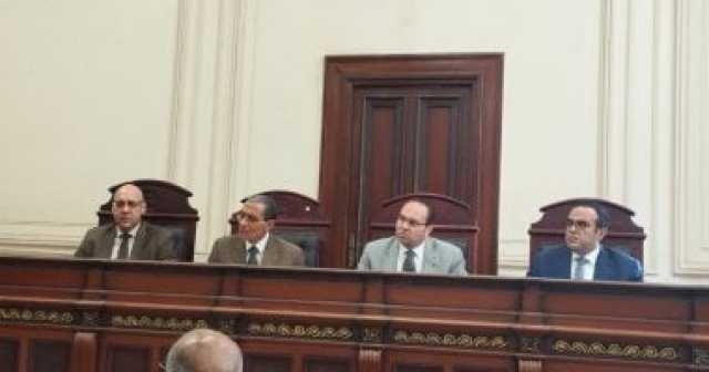 السجن 10 لنجار مسلح قتل شخصا أبلغ عن شقيقه لبيع المخدرات بالإسكندرية