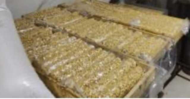 ضبط 4 أطنان حلوى المولد فاسدة بمصنع بالمنوفية