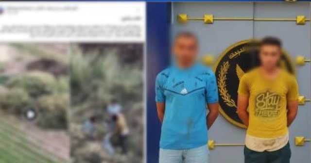 بعد عقر والد أحدهما.. شخصان يجمعان كلابًا ضالة داخل أجولة