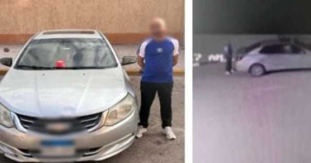 التحقيق مع سائق وضع طعامًا مسمومًا للكلاب الضالة في حدائق الأهرام