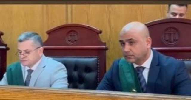 المشدد 10 سنوات لـ3 متهمين استولوا على عمارتين بالمنيل بعقود مزورة