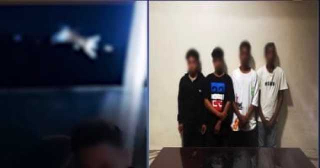 القبض على 4 طلاب بتهمة إلقاء قطة فى نهر النيل بالجيزة.. فيديو