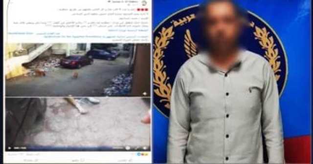 الداخلية تضبط موظفاً بالشرابية بعد تداول فيديو لتسميم كلاب ضالة
