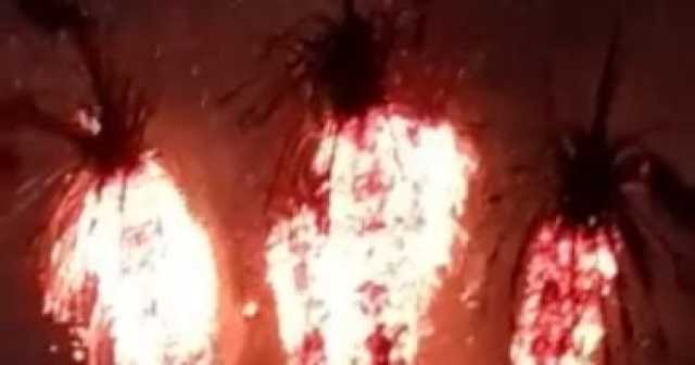 السيطرة على حريق بنخيل ببنها فى القليوبية دون خسائر بشرية