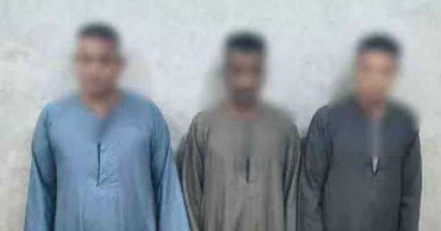 وزارة الداخلية تضبط 3 أشخاص بحوزتهم كروت بمحيط لجان انتخابات الأقصر