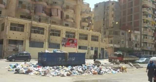 عامل قمامة يعثر على رضيعة فى صندوق: شاهدت الكلاب تنهش الجثة