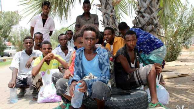 الهجرة الدولية: دخول 1,169 مهاجراً من القرن الإفريقي إلى اليمن خلال أكتوبر الماضي