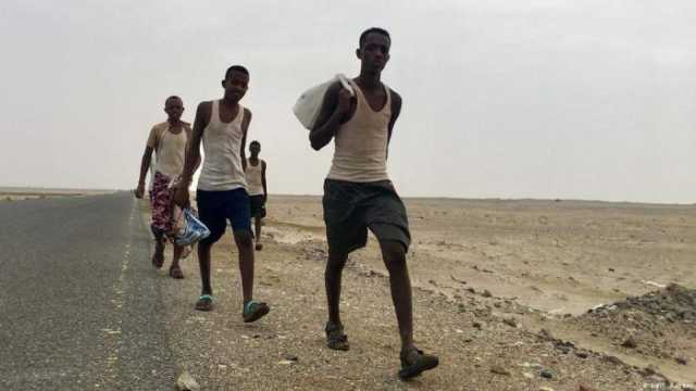 الهجرة الدولية: وصول 95 ألف مهاجر إفريقي إلى اليمن منذ مطلع العام الجاري