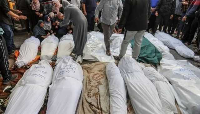 80 ألف شهيد وجريح في غزة منذ بداية الحرب