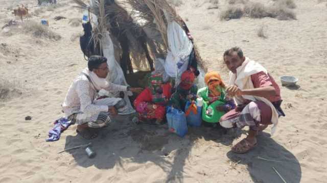 الهجرة الدولية: نزوح داخلي لـ21 أسرة يمنية خلال الأسبوع الأول من يناير الجاري